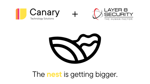 Canary IT Solutions Blog Image